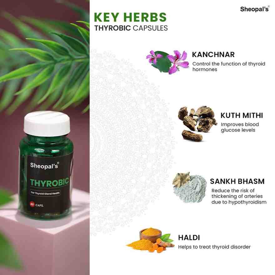 Explore Herbal Health Care Products 2025 for a Healthier and Greener Lifestyle