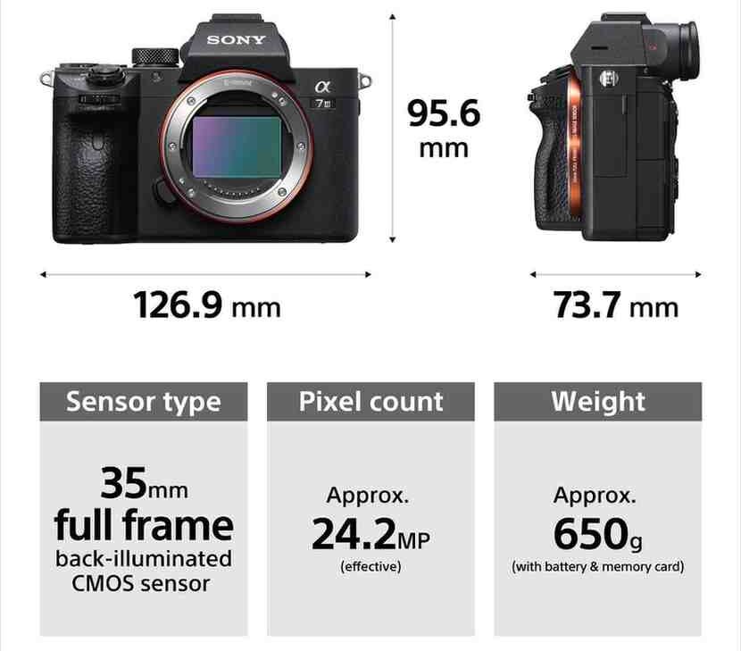 Best DSLR Mirrorless Cameras in 2025, Professional-Grade Performance