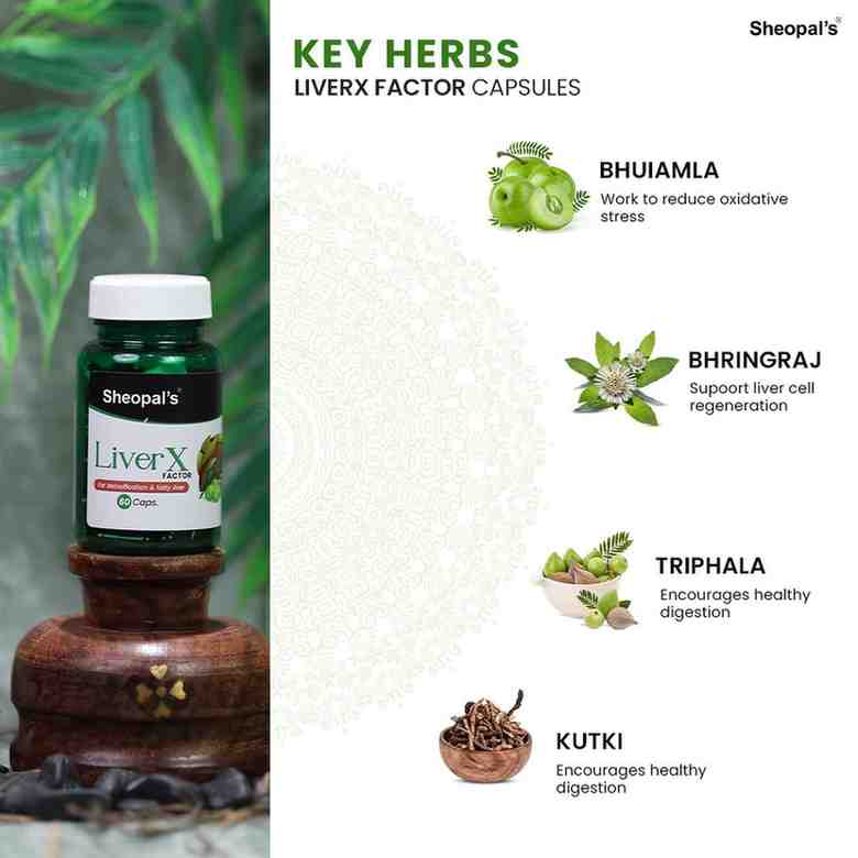 The Ultimate Guide to Herbal Health Care Products, Key Ingredients for Healthy and Glowing Skin